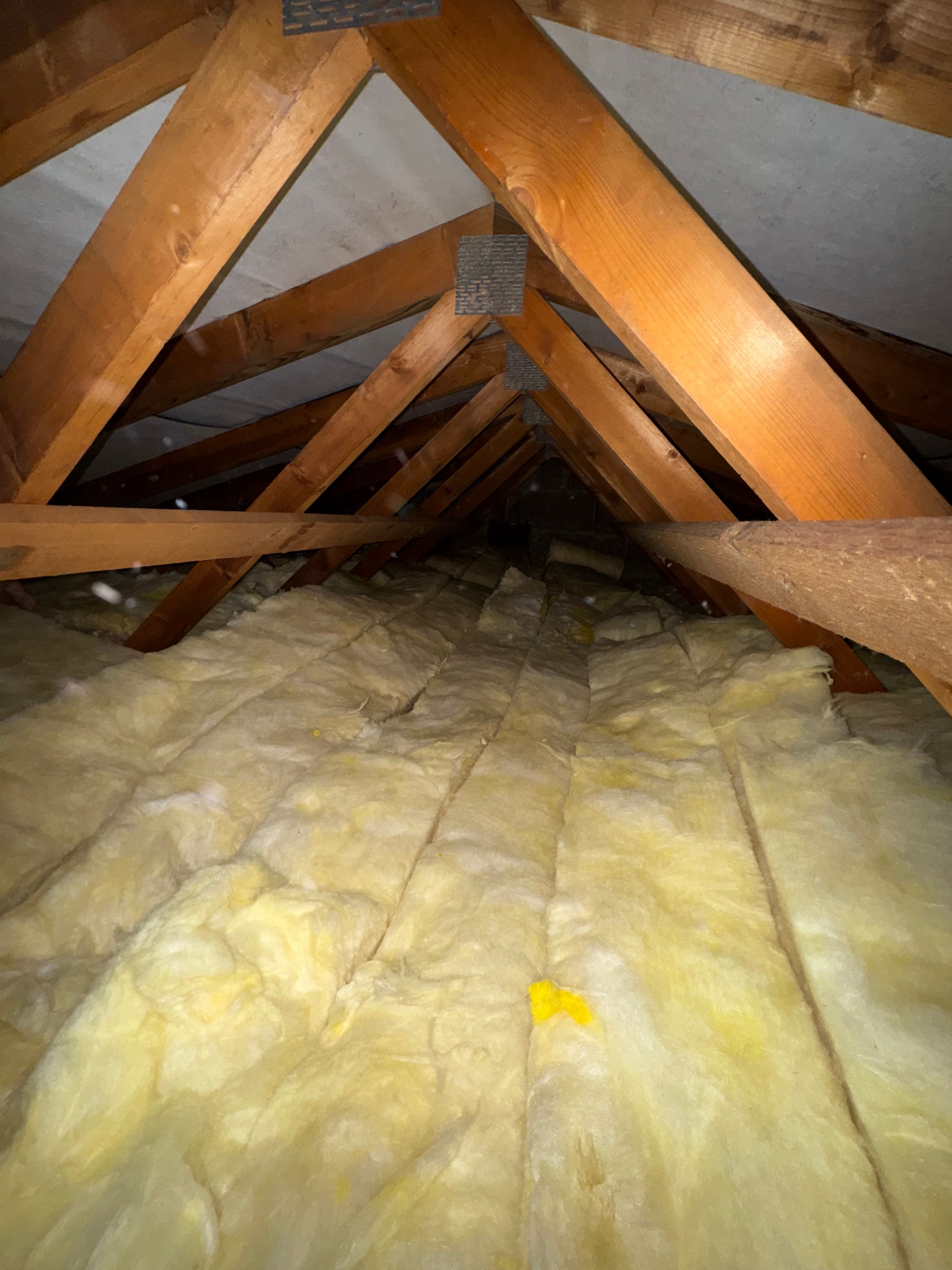 Yellow fiberglass insulation batts installed between wooden roof trusses in a narrow, dark attic.